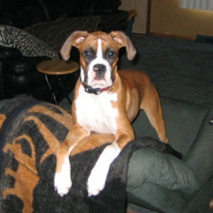 Hello, I am Lucy Lu