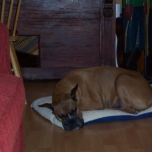 Sleeping Again!