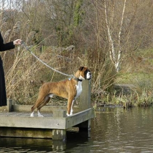 walking in the park