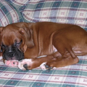 Nap time