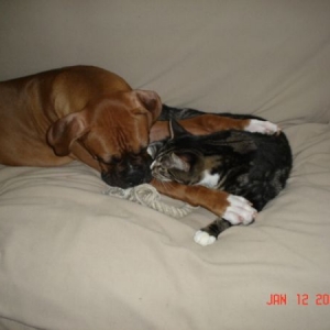 Ty and Meeko