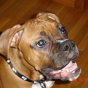 Our Baby Boy Ty