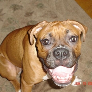 Happy Tyson