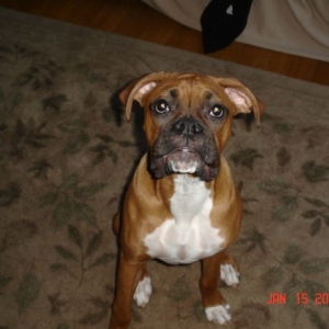 Tyson