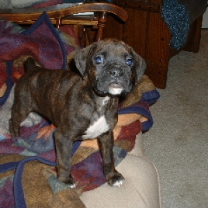 Spencer_on_couch_-_small