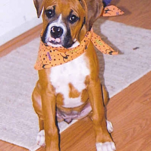 Brandi at 14 wks