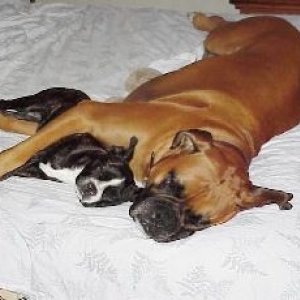 Jake&Allie