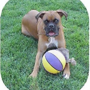 Jake w ball