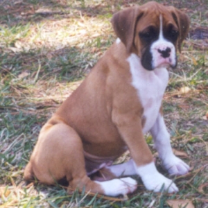 Katie at 8 wks