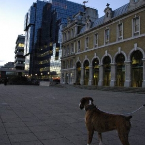 Thames walk