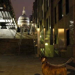 St Paul's Cathedral