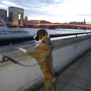 London Bridge