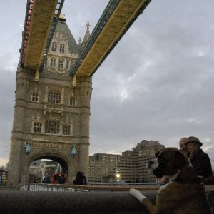 On Tower Bridge