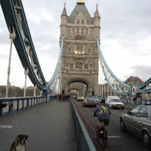 Henri on Tower Bridge