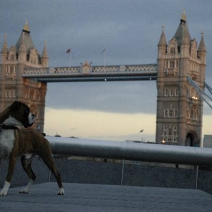 Tower Bridge