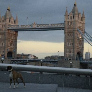 Tower Bridge