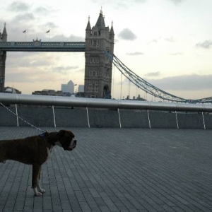 Tower Bridge