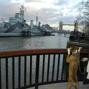 HMS Belfast