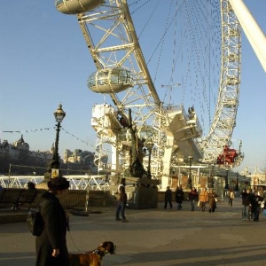 London Eye