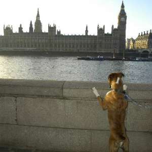 Palace of Westminster