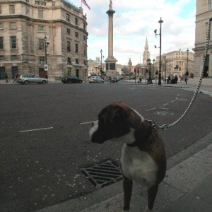 Trafalgar Square