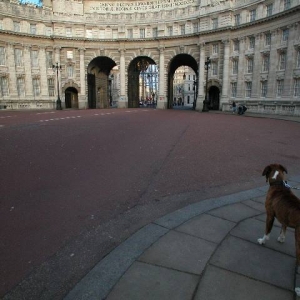 Admiralty Arch