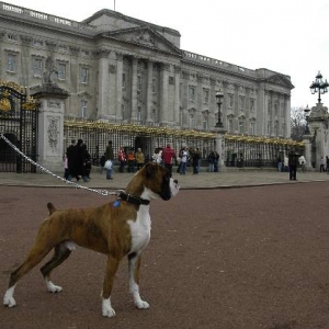 Buckingham Palace