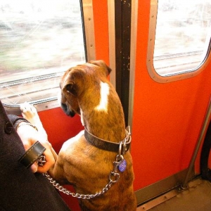 Are we there yet?