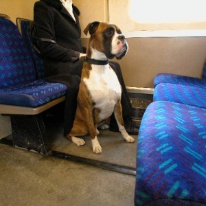 Train ride