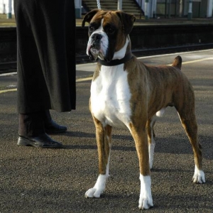 Waiting for the train