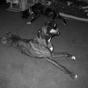 stretch