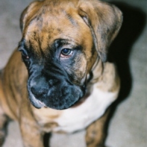 Up close and personal