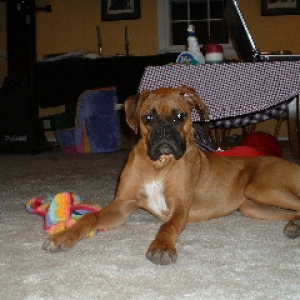 Chesney
