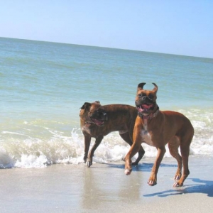 Fun on the beach