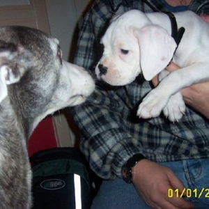 rev_meets_blue