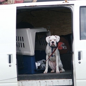 rev_van