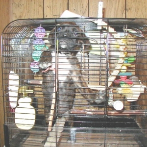 Hey, I'm not a bird !