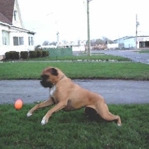 It's mine! I got it!!!