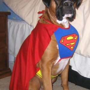 SuperDukes