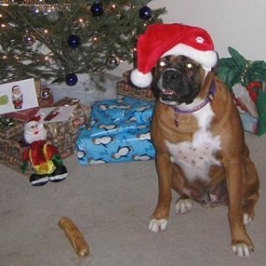 Christmas 2004