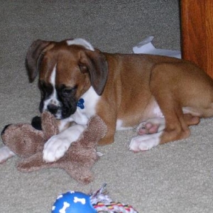 Can't Ever Have Just One Toy!