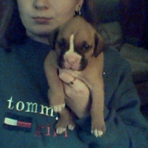 my lil Killer