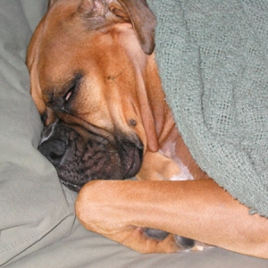 sleeping