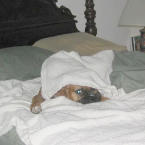 sleeping2