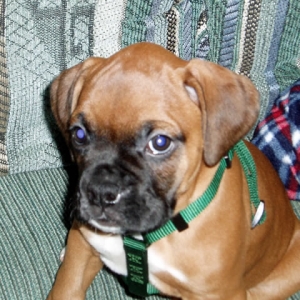 How cute am I?