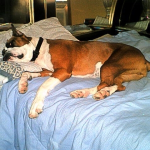 Snoozing