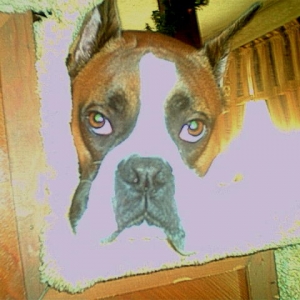 Bing on 2nd Birthday