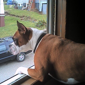 "Big Bing is watching...."
