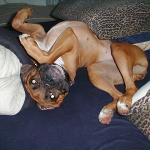 Karma just being a regular goofball as usual