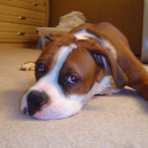 My Baby